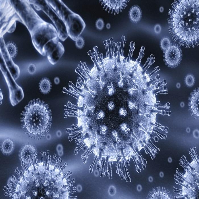 Curing a Viral Pandemic, the Impact on the Economy and Lessons from Past Pandemics
