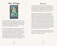 Neopets: The Official Tarot Deck: A 78-Card Deck and Guidebook, Faerie Edition (Neopets)