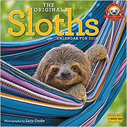 The Original Sloths 2019 Calendar