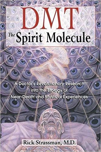 DMT: The Spirit Molecule: A Doctor's Revolutionary Research into the Biology of Near-Deat