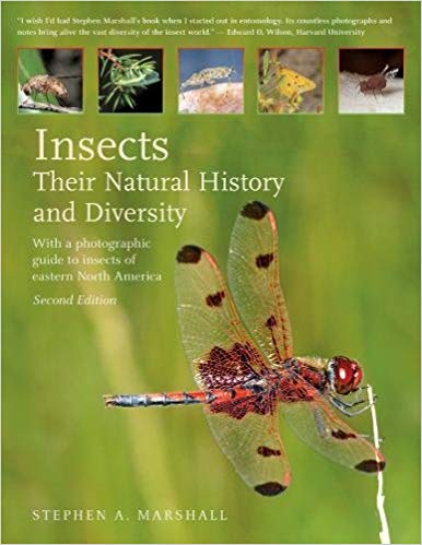 Insects:Their Natural History and Diversity: With a Photographic Guide to Insects of Eastern
