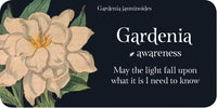The Language of Flowers: Loving Support from the Wisdom of Nature (Mini Inspiration Cards)