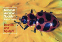 Familiar Insects and Spiders North America (Audubon Society Pocket Guides)