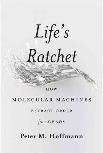 Life's Ratchet: How Molecular Machines Extract Order from Chaos