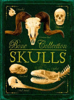 Skulls (Bone Collection)