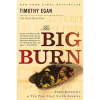 The Big Burn: Teddy Roosevelt and the Fire That Saved America | ADLE International