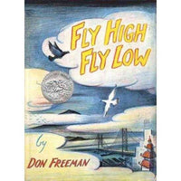 Fly High, Fly Low | ADLE International