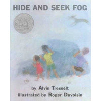 Hide and Seek Fog | ADLE International