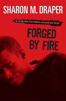 Forged by Fire (Coretta Scott King Author Award Winner) | ADLE International