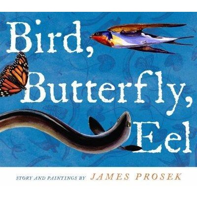 Bird, Butterfly, Eel