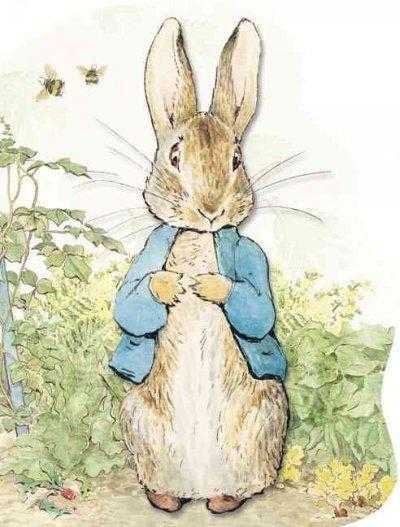 Peter Rabbit | ADLE International