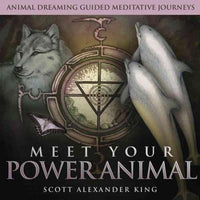 Meet Your Power Animal (Animal Dreaming Guided Meditative Journeys)