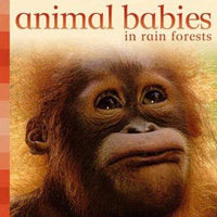 Animal Babies in Rain Forests (Animal Babies)