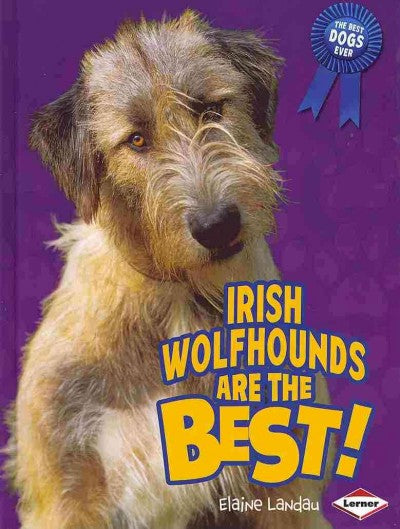 Irish Wolfhounds Are the Best! (The Best Dogs Ever)