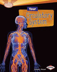Your Circulatory System (How Does Your Body Work?)