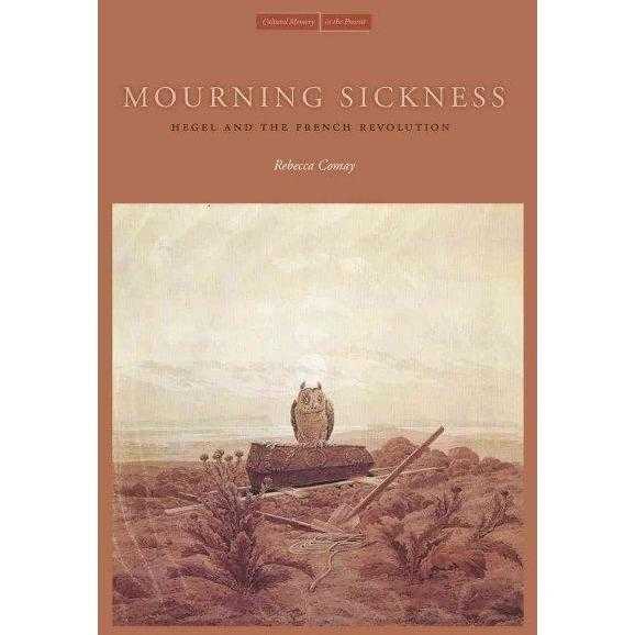 Mourning Sickness: Hegel and the French Revolution (Cultural Memory in the Present) | ADLE International