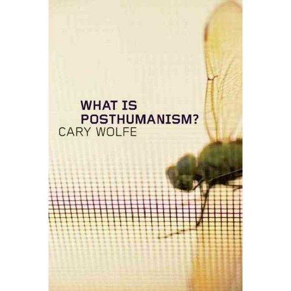What Is Posthumanism? (Posthumanities) | ADLE International