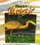 What Is a Bird? (Science of Living Things)