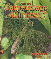 What Are Camouflage and Mimicry? (Science of Living Things)