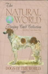 Dogs of the World (The Natural World Playing Card Collection): Dogs of the World