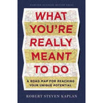 What You're Really Meant to Do: A Roadmap for Reaching Your Unique Potential
