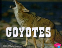 Coyotes (Pebble Plus)
