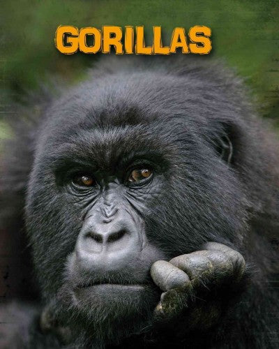 Gorillas (Heinemann InfoSearch)