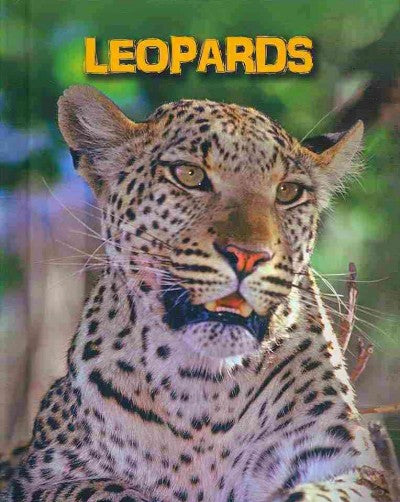 Leopards (Heinemann InfoSearch)