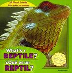 What's a Reptile? / Que Es Un Reptil? (All About Animals / Todo Sobre Los Animales)