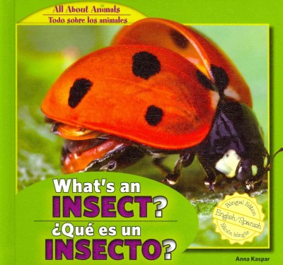 What's an Insect? / Que Es Un Insecto? (All About Animals / Todo Sobre Los Animales): What's an Insect? / Que Es Un Insecto?