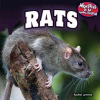Rats (Monsters of the Animal Kingdom)