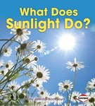 What Does Sunlight Do? (First Step Nonfiction)