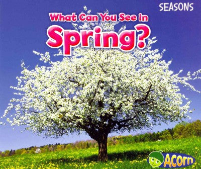 What Can You See in Spring? (Acorn)