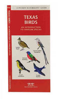 Texas Birds: A Folding Pocket Guide to Familiar Species (Pocket Naturalist Guide)