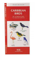 Caribbean Birds: A Folding Pocket Guide to Familiar Species (Pocket Naturalist Guide)