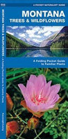 Montana Trees & Wildflowers: An Introduction To Familiar Species (A Pocket Naturalist guide): Montana Trees & Wildflowers
