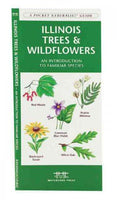 Illinois Trees & Wildflowers (Pocket Naturalist Guide)