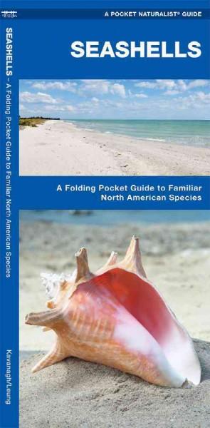 Seashells: A Folding Pocket Guide to Familiar North American Species (Pocket Naturalist Guide)