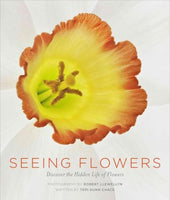 Seeing Flowers: Discover the Hidden Life of Flowers