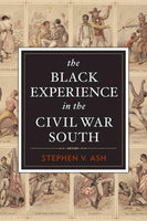 The Black Experience in the Civil War South