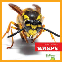 Wasps (Insect World)