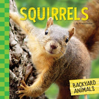 Squirrels (Backyard Animals)