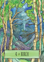 The Earthcraft Oracle: A 44-Card Deck and Guidebook of Sacred Healing