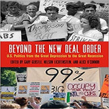 Beyond the New Deal Order: U.S. Politics from the Great Depression to the Great Recession ( Politics and Culture in Modern America )