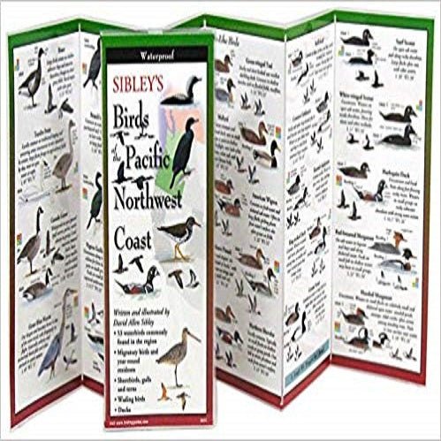 Sibley's Birds of Pacific NW Coast ( FoldingGuides #BPN-125 ) | ADLE International